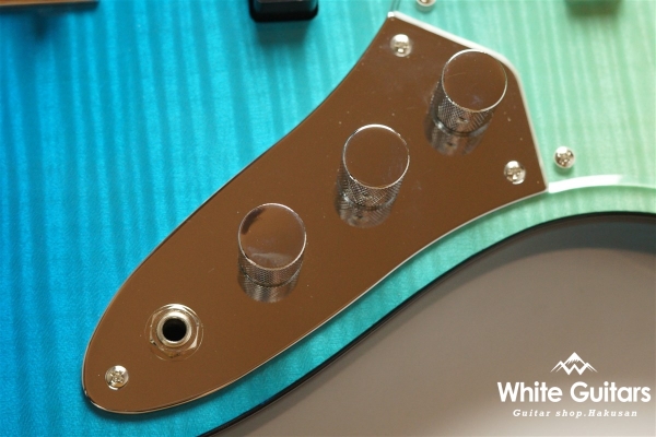 WL4-FM CustomIII - BLU-GRD-MH